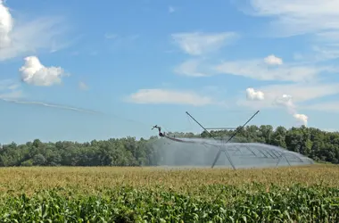 Maïs : irrigation par aspersion 
 - crédits : C. Brutlag/ Shutterstock