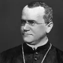 Gregor Johann Mendel - crédits : Hulton Archive/ Getty Images