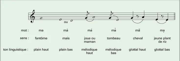 Mélodie et intonation linguistique - crédits : Encyclopædia Universalis France