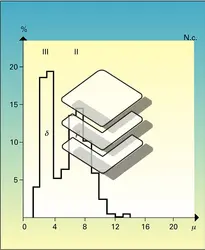 Diamètres de fibres myélinisées - crédits : Encyclopædia Universalis France