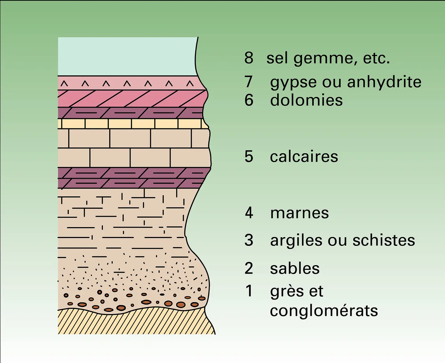 Série sédimentaire : détritiques grossiers et roches salines