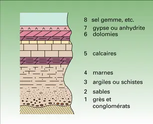 Série sédimentaire : détritiques grossiers et roches salines - crédits : Encyclopædia Universalis France