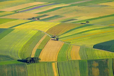 Paysage agricole - crédits : P. Gudella/ Shutterstock