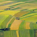Paysage agricole - crédits : P. Gudella/ Shutterstock