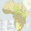 Afrique : les quatre groupes linguistiques - crédits : Encyclopædia Universalis France