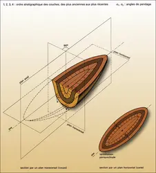 Anticlinal, brachysynclinal et dôme - crédits : Encyclopædia Universalis France